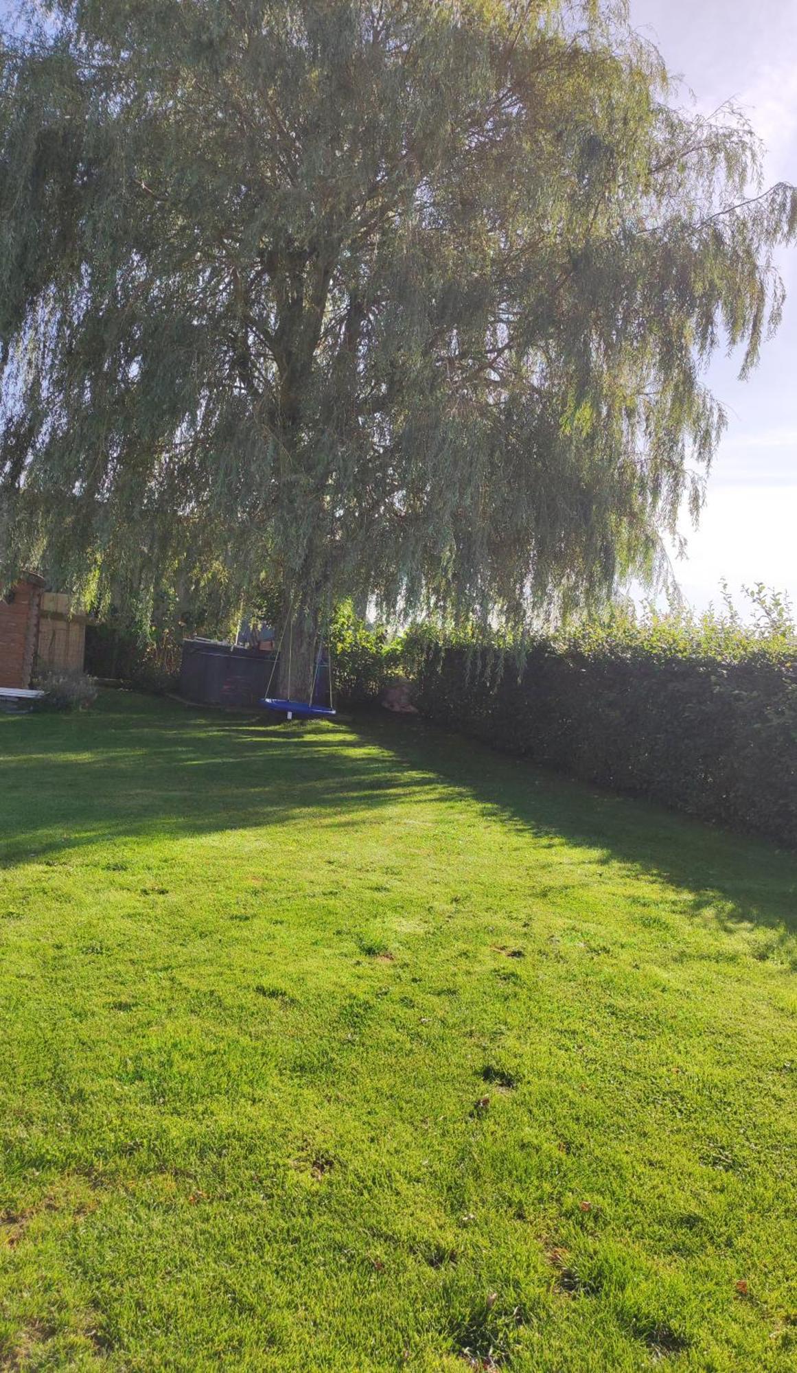Cote Campagne Bed & Breakfast Houthem Dış mekan fotoğraf