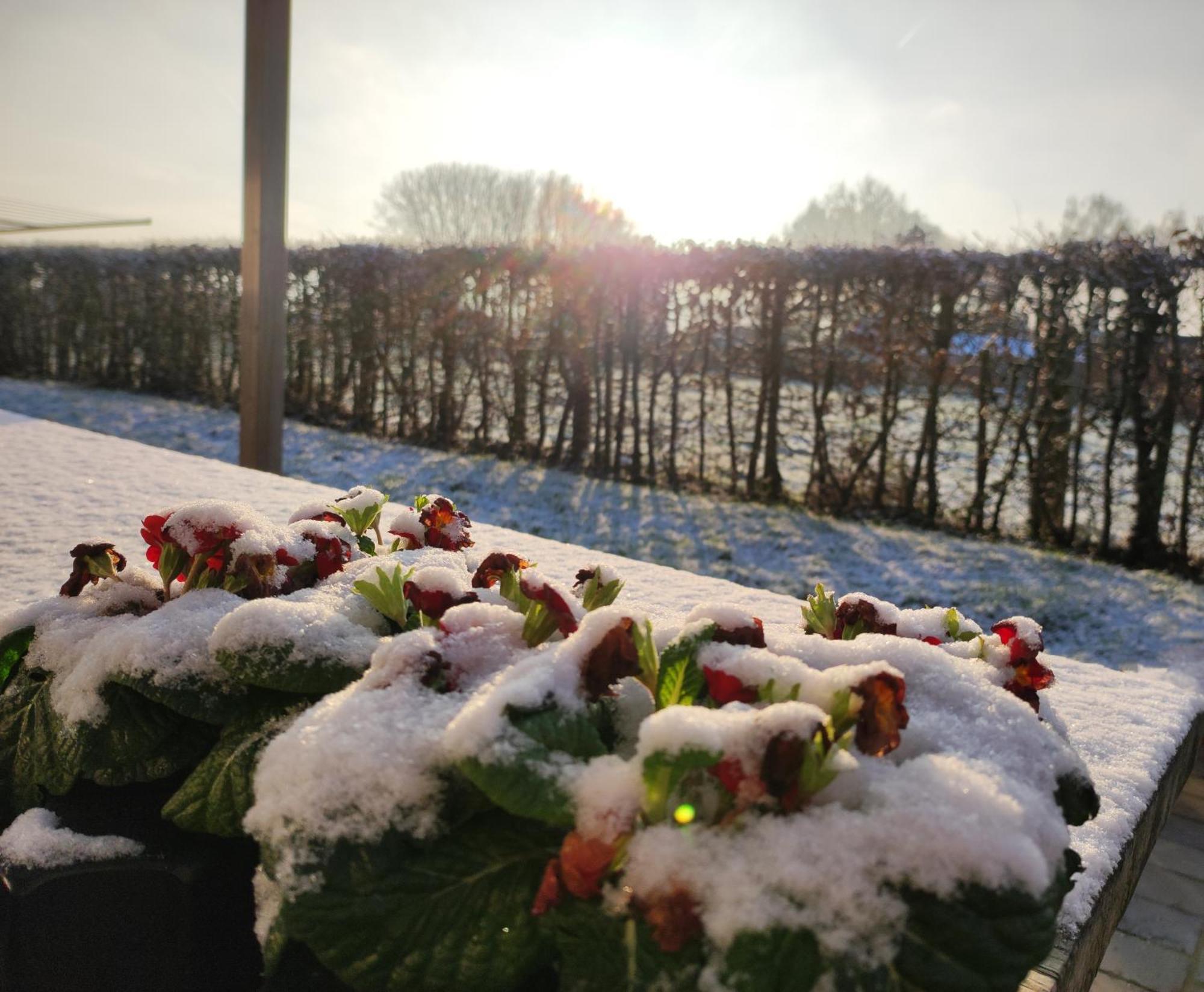 Cote Campagne Bed & Breakfast Houthem Dış mekan fotoğraf